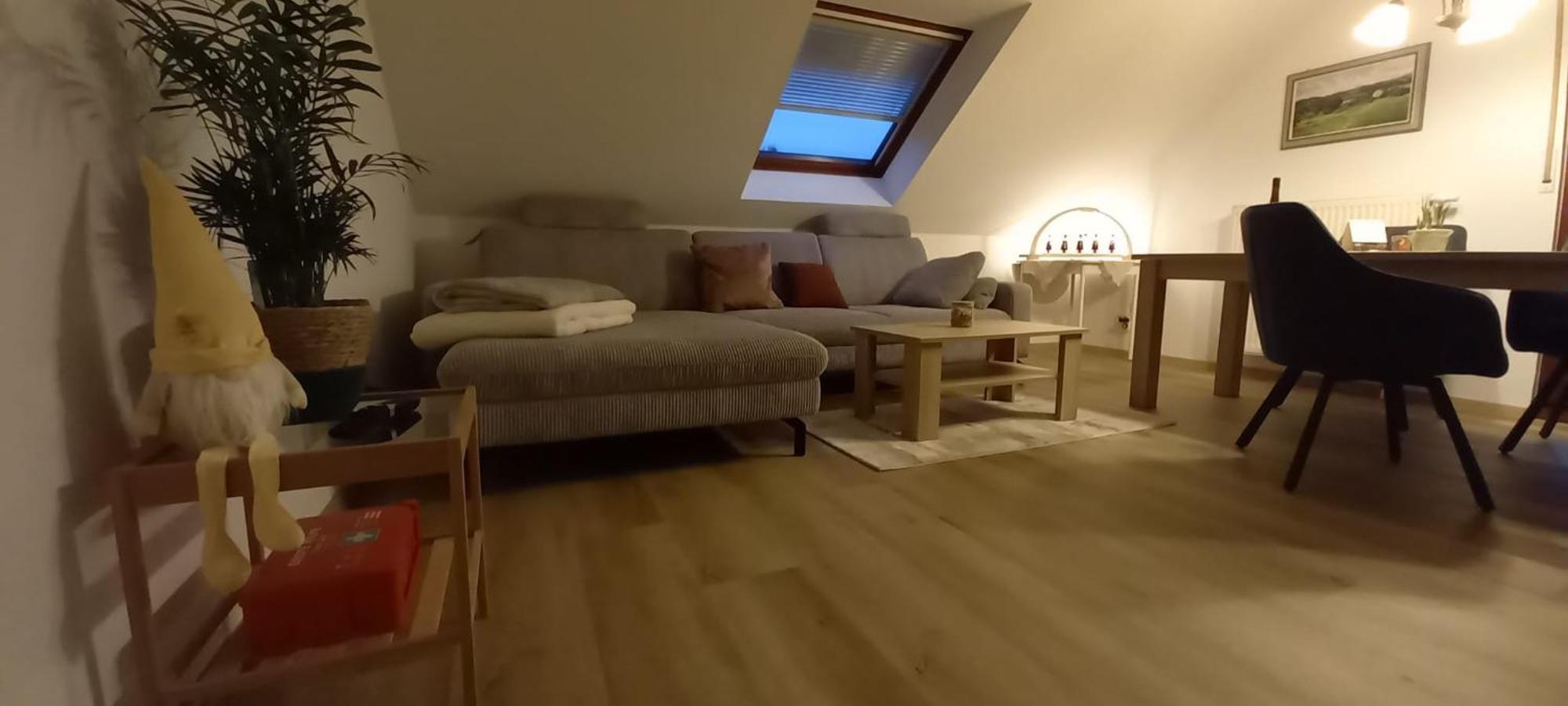 Appartamento Ferienwohnnung Ruth - Familienurlaub Im Erzgebirge Langenbach  Esterno foto
